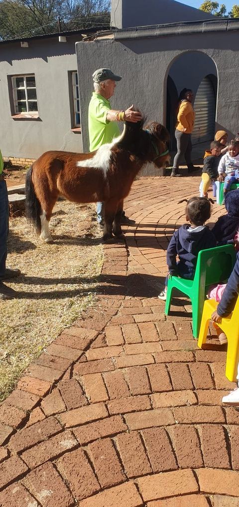 Visiting animals at Disney Academy Preschool
